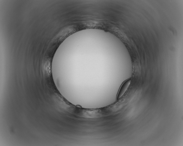 X0000113170479200909181836