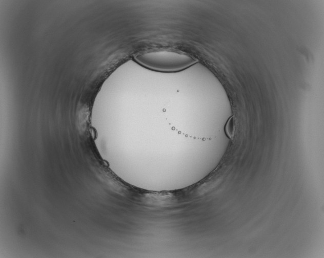 X0000113170480200909181836