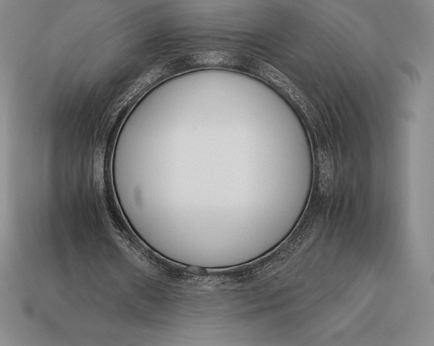 X0000113170482200909181835