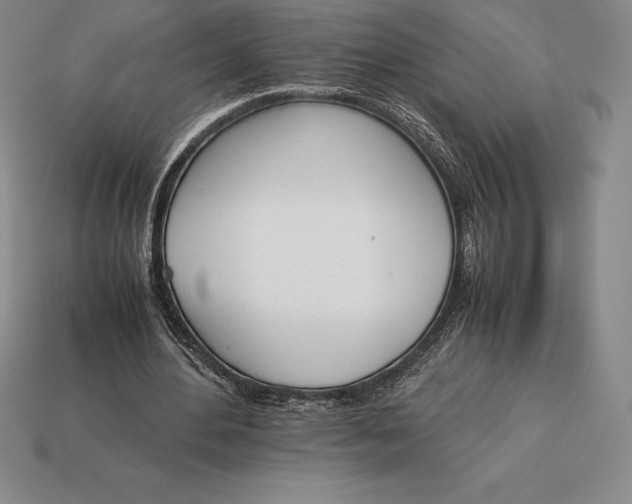 X0000113170484200909181835