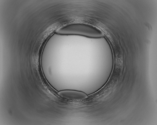 X0000113170485200909181835