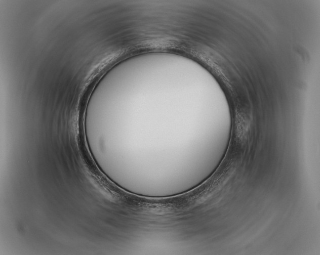 X0000113170486200909181835