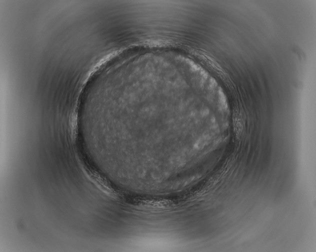 X0000113170488200909181835