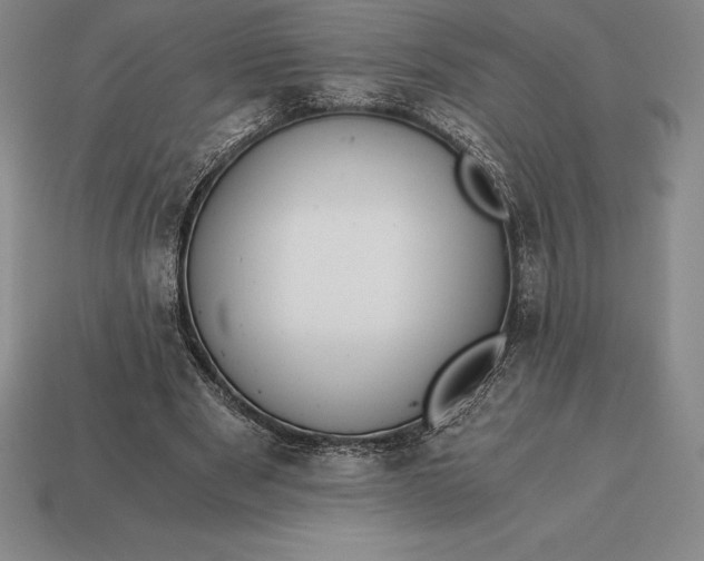 X0000113170489200909181835