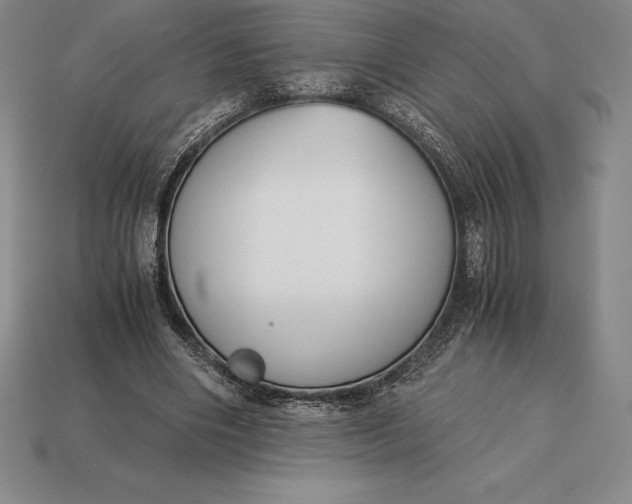 X0000113170490200909181835