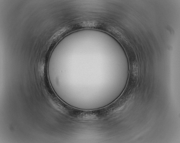 X0000113170491200909181835