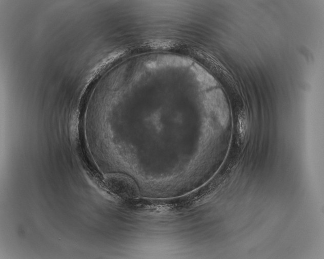 X0000113170492200909181835