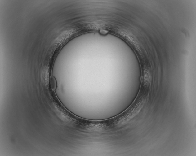 X0000113170493200909181835