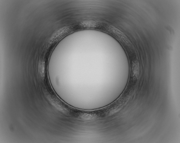 X0000113170494200909181835