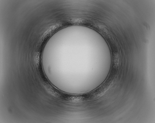 X0000113170495200909181835