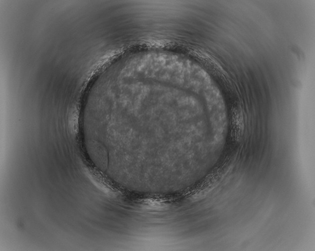 X0000113170496200909181835