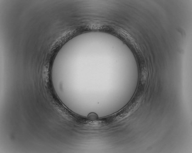 X0000113170497200909181835