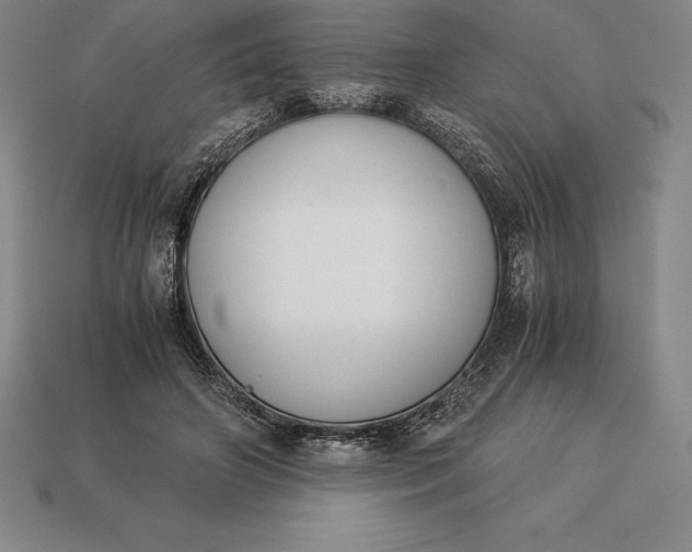 X0000113170498200909181835