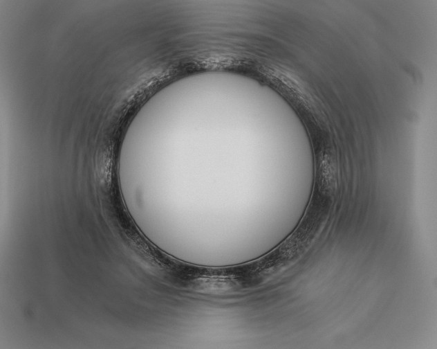 X0000113170499200909181835