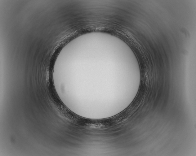 X0000113170500200909181835