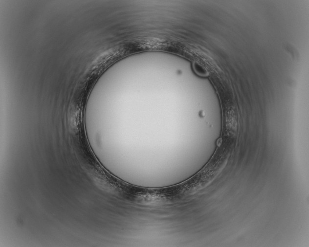 X0000113170503200909181835