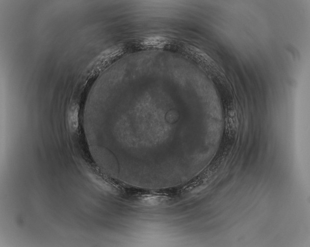 X0000113170504200909181835