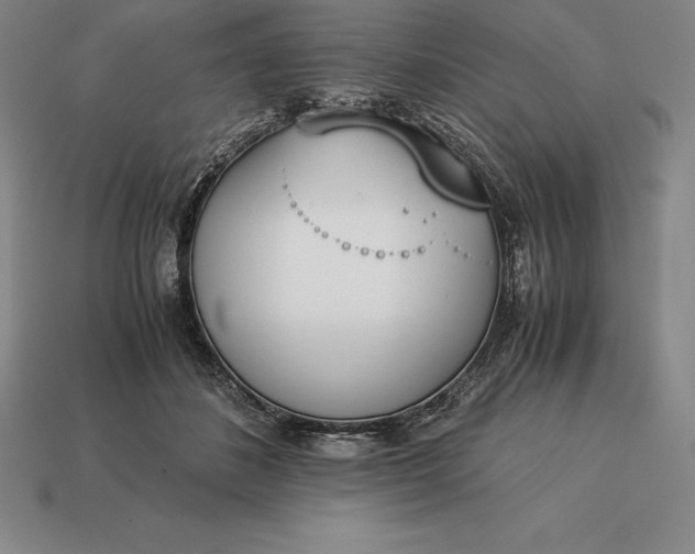 X0000113170508200909181835