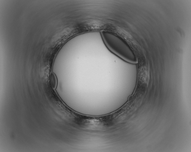 X0000113170509200909181835