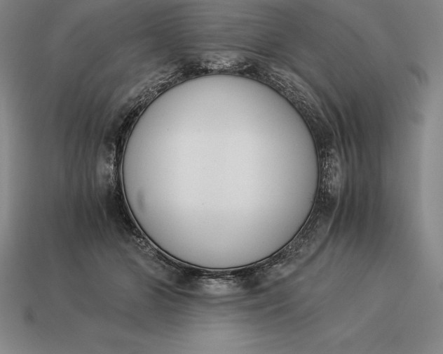 X0000113170510200909181835