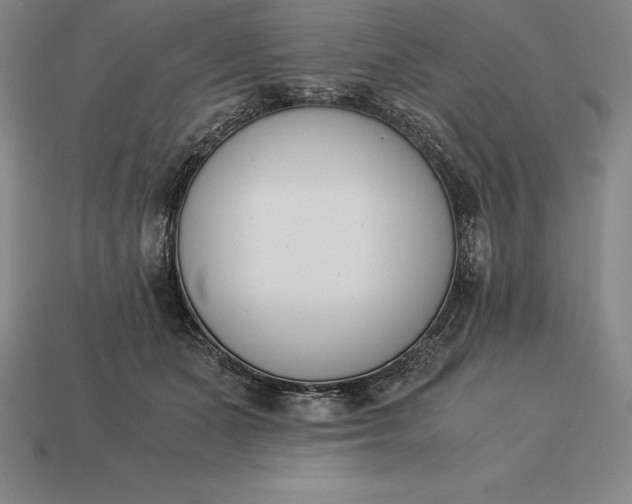 X0000113170511200909181835