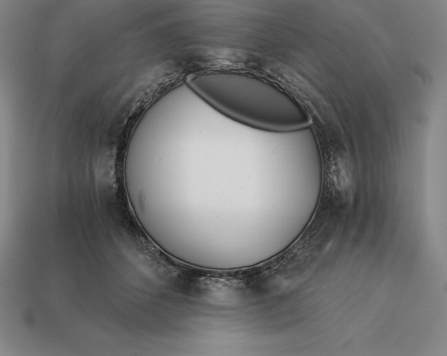 X0000113170512200909181835