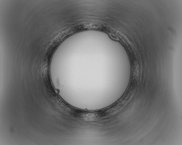 X0000113170513200909181835