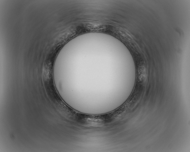 X0000113170515200909181835