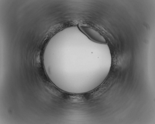 X0000113170516200909181835