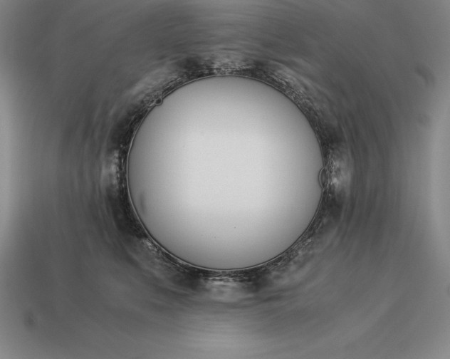 X0000113170519200909181835