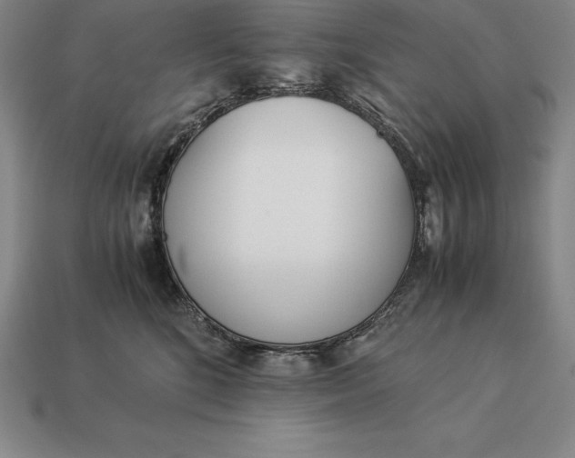 X0000113170520200909181835