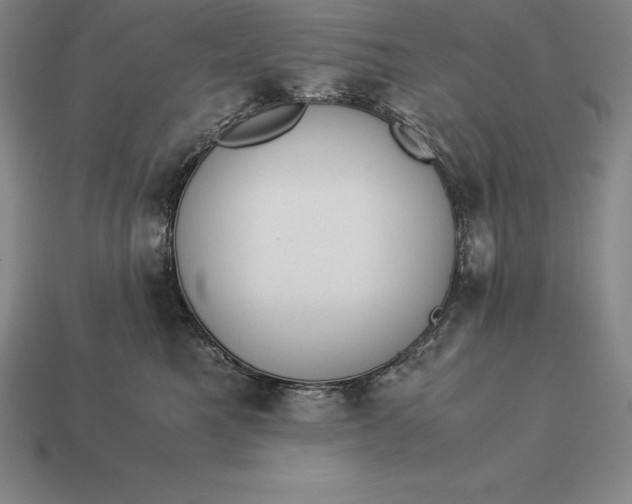 X0000113170521200909181835