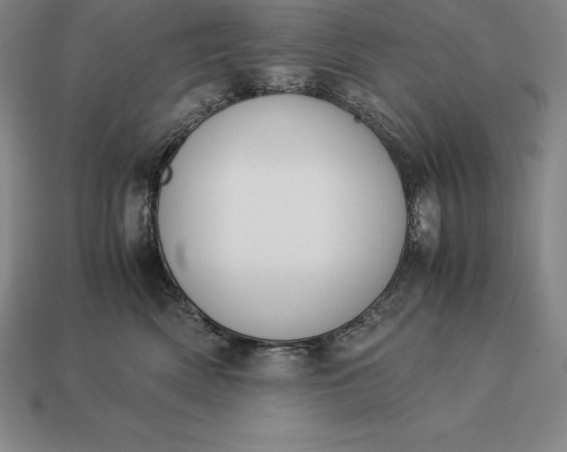 X0000113170522200909181834