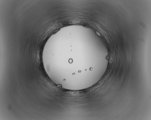 X0000113170524200909181834