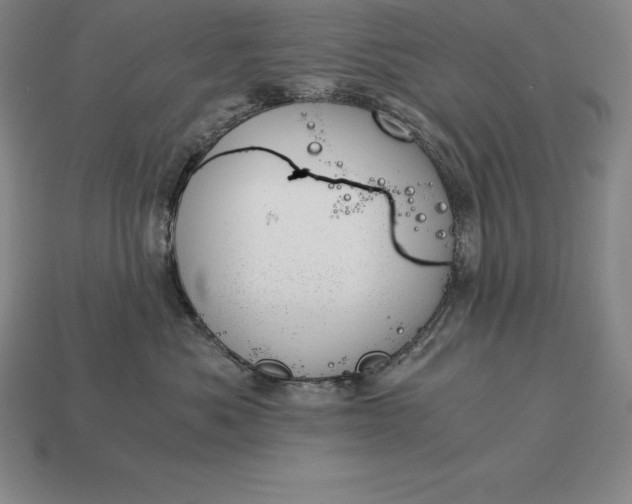 X0000113170525200909181834