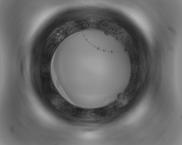 X0000113170526200909181834