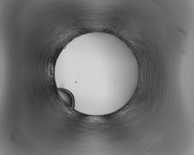 X0000113170528200909181834