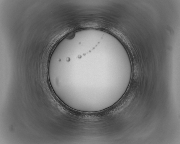 X0000113170529200909181834