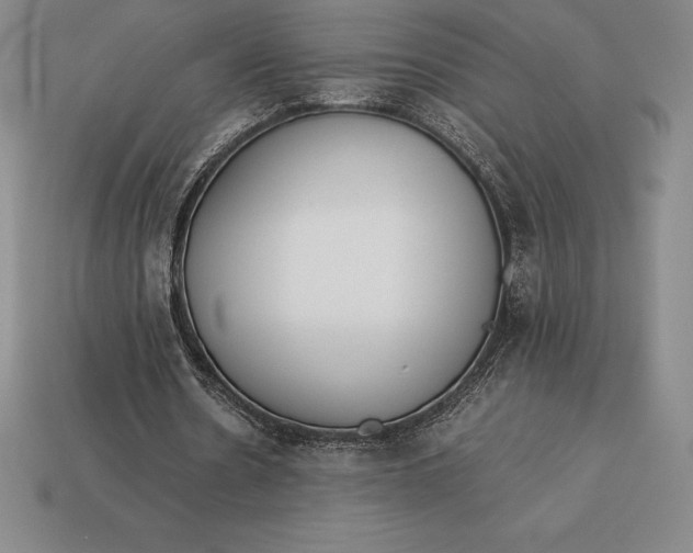 X0000113170530200909181834