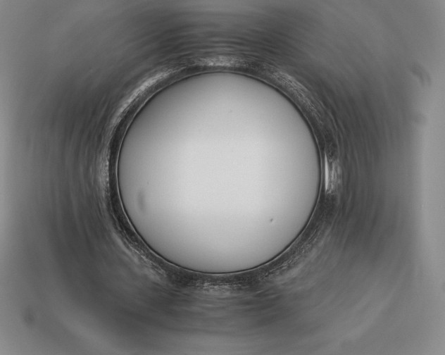 X0000113170531200909181834