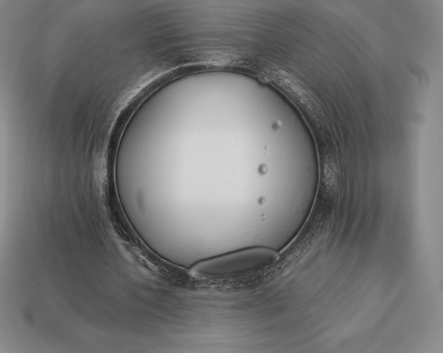 X0000113170532200909181834