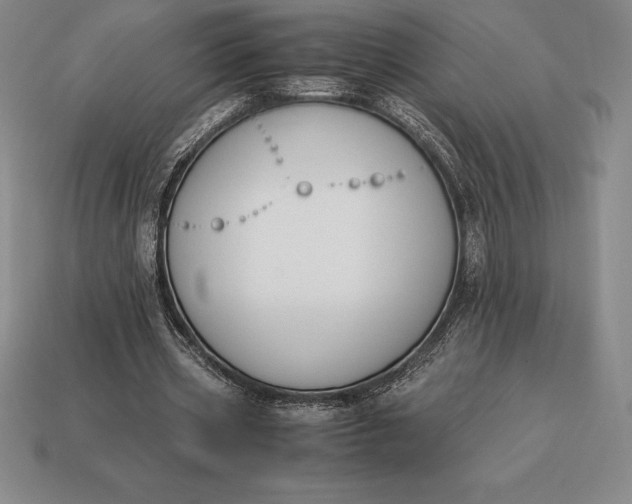 X0000113170533200909181834