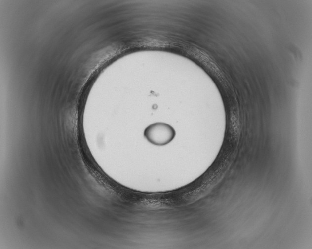 X0000113170534200909181834