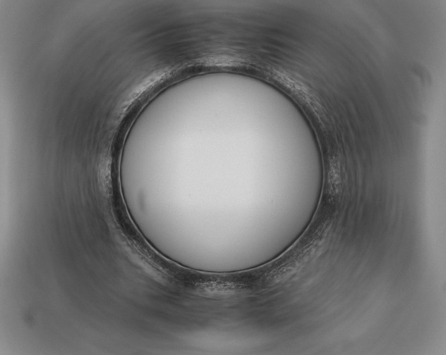 X0000113170535200909181834