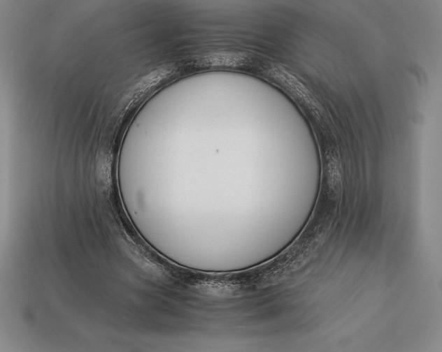 X0000113170537200909181834