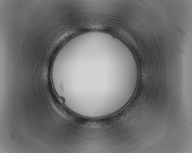 X0000113170538200909181834