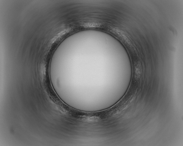 X0000113170539200909181834