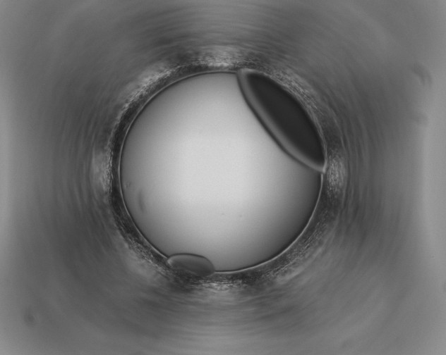 X0000113170540200909181834