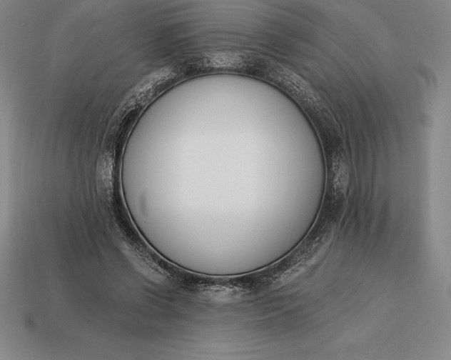 X0000113170542200909181834