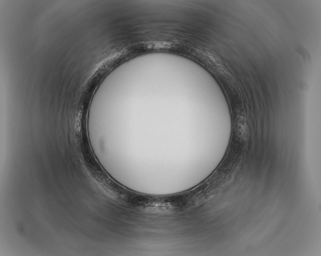 X0000113170543200909181834